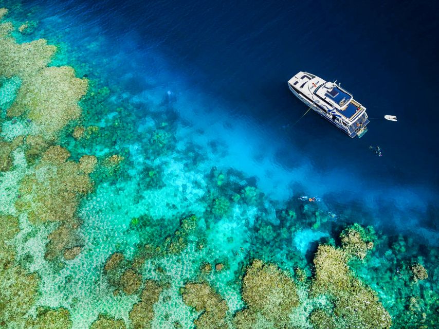 Cairns: Premium Snorkelling and Diving Reef Day Trip - Second reef stop: more water time, less pressure
