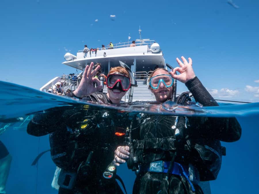 Cairns: Premium Snorkelling and Diving Reef Day Trip - How much value do you get for $166?