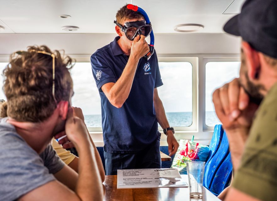 Cairns: Premium Snorkelling and Diving Reef Day Trip - Who will get the most from this reef day?