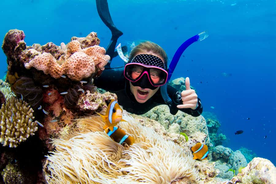 Cairns: Snorkelling and Diving Reef Day Trip - Why the two-site plan matters