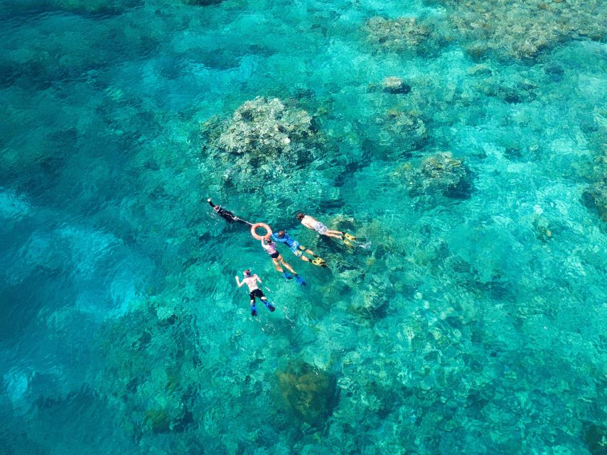 Cairns: Snorkelling and Diving Reef Day Trip - Who should choose this reef day