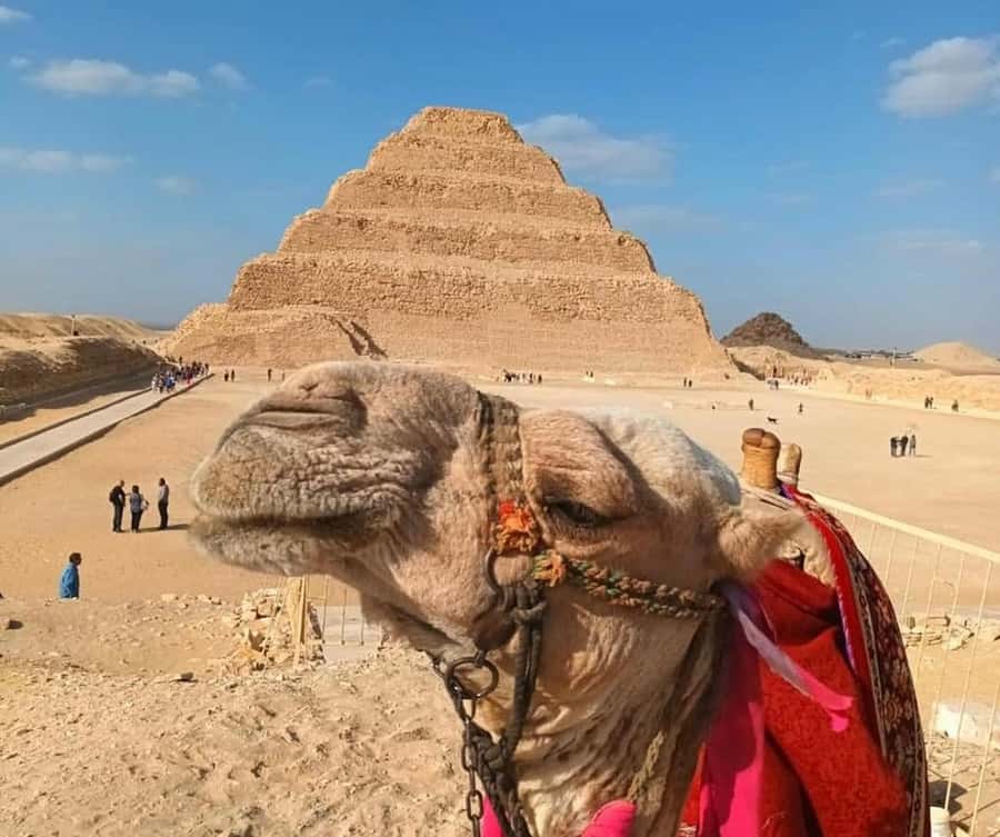 Cairo: Djoser, Bent Pyramid & Memphis Day Trip - Saqqara and the Step Pyramid of Djoser