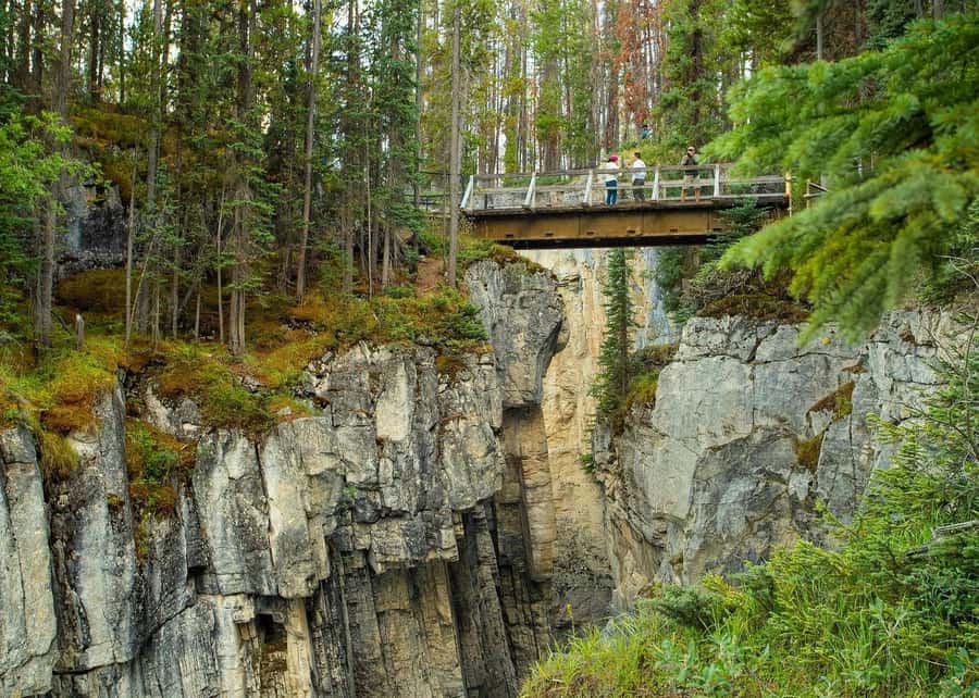 Calgary: Day Trip to Jasper with Lunch - Athabasca Glacier gives the day its ancient edge