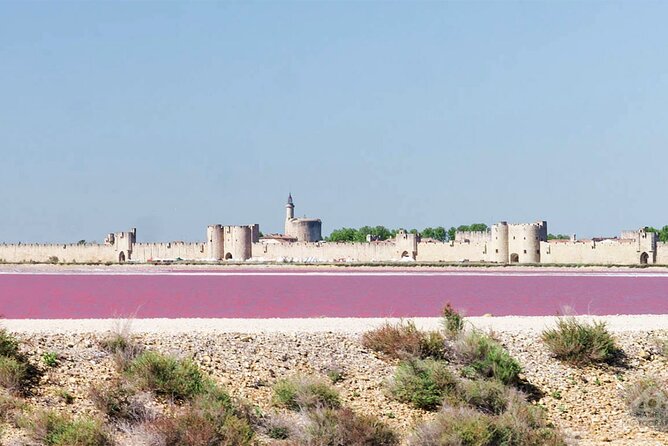Camargue Small-Group Day Trip from Avignon - What the $144.82 price includes