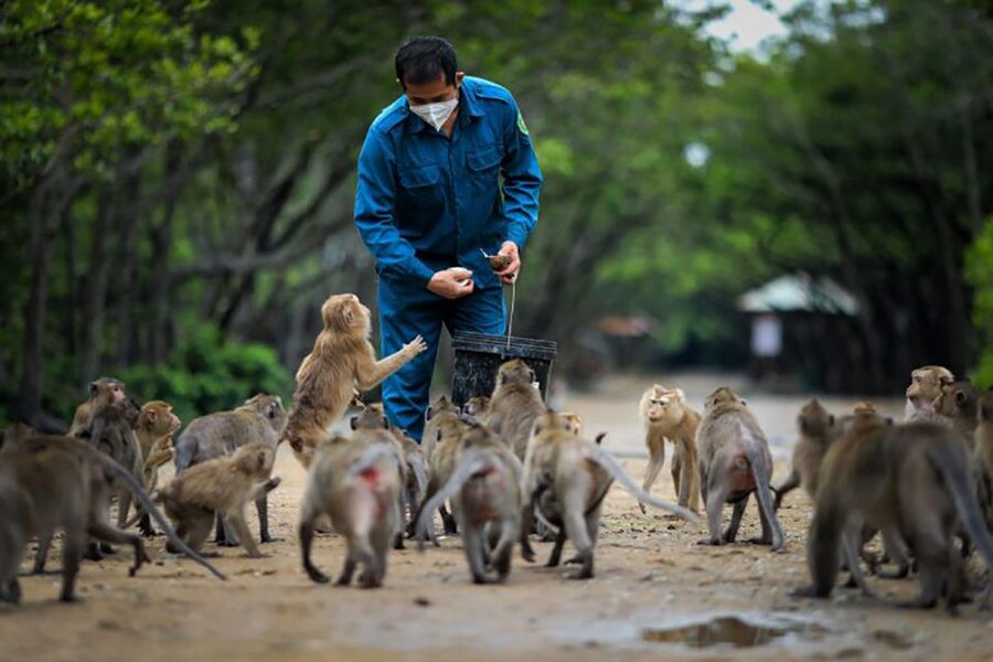 Can Gio: Discovery Vam Sat EcoPark - Can Gio Island Day Trip - Guides can shape the whole day