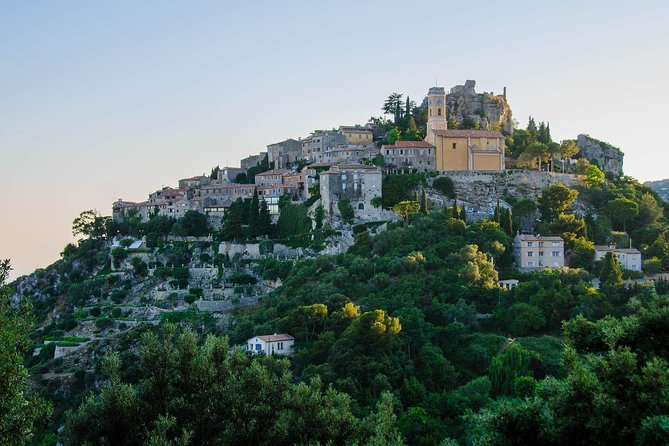 Cannes Shore Excursion: Private Day Trip to Monaco and Eze - Why the private format matters on a cruise day