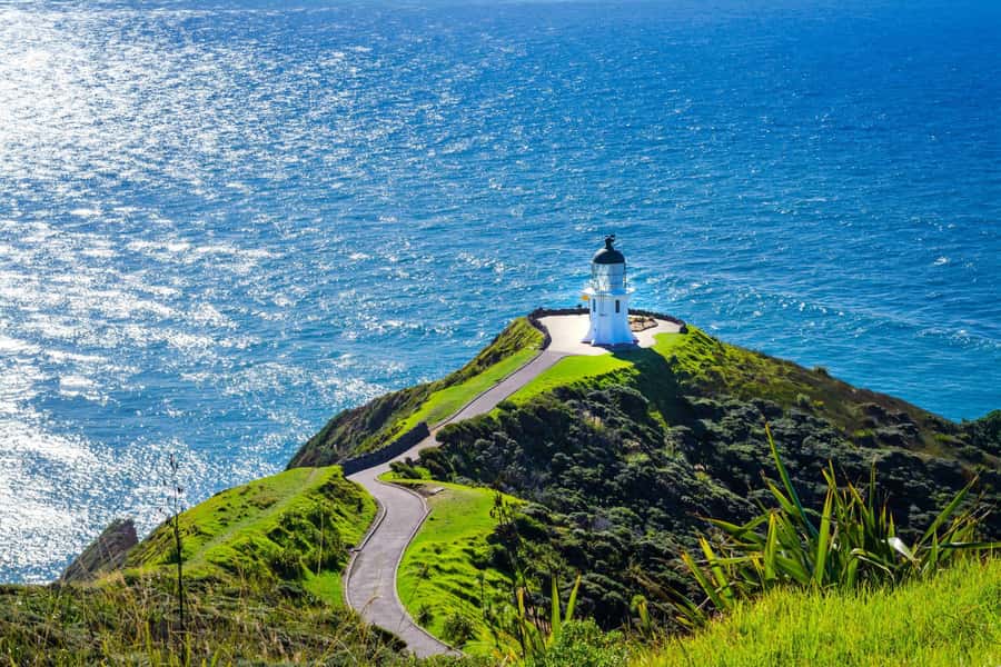 Cape Reinga: Day Trip from Paihia, Kerikeri, or Kaitaia - Key points at a glance