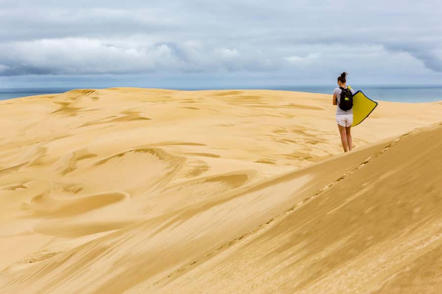 Cape Reinga: Day Trip from Paihia, Kerikeri, or Kaitaia - Why this Far North day trip works