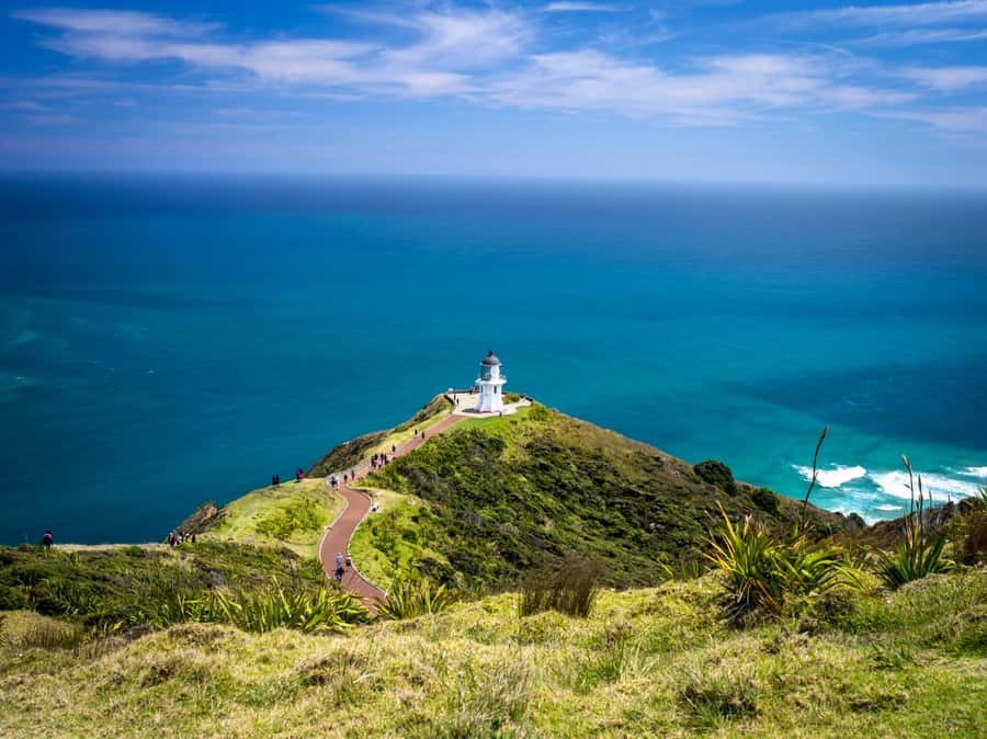 Cape Reinga: Day Trip from Paihia, Kerikeri, or Kaitaia - Walking the southern end of 90 Mile Beach