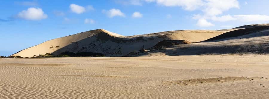 Cape Reinga: Day Trip from Paihia, Kerikeri, or Kaitaia - Cape Reinga and the lighthouse at New Zealand’s northern edge