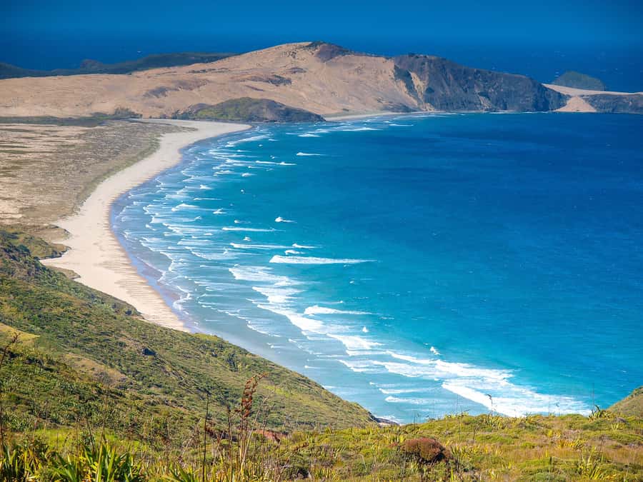 Cape Reinga: Day Trip from Paihia, Kerikeri, or Kaitaia - Morning pickup from Paihia, Kerikeri, or farther north