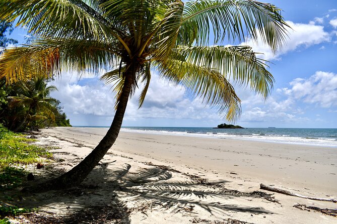 Cape Tribulation, Mossman Gorge, and Daintree Rainforest Day Trip - Walking the Dubuji Boardwalk