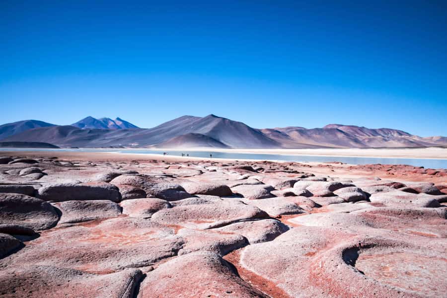 Caracoles: Red Stones of Atacama and Chaxa Guided Day Trip - Why this Atacama day trip covers so much ground