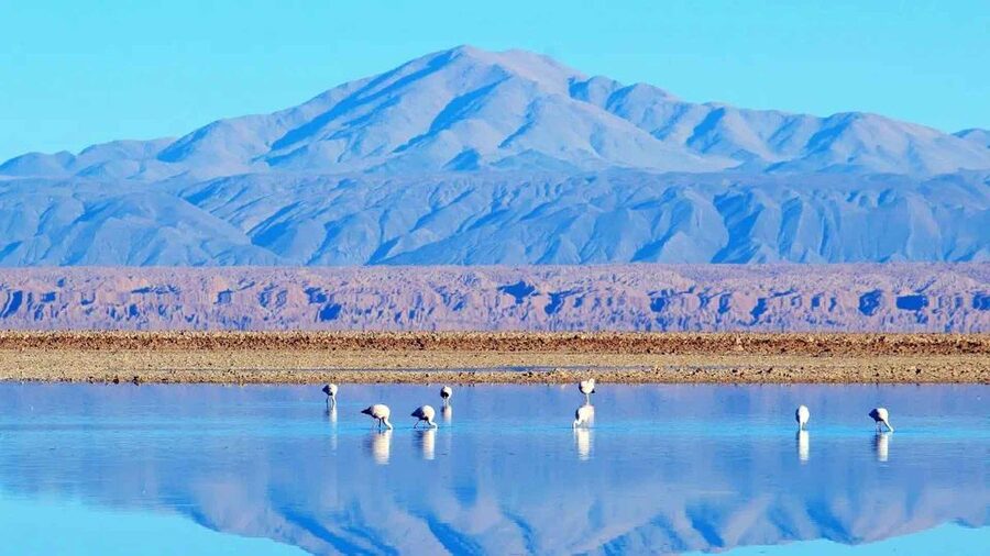 Caracoles: Red Stones of Atacama and Chaxa Guided Day Trip - Toconao, Socaire, and the Tropic of Capricorn