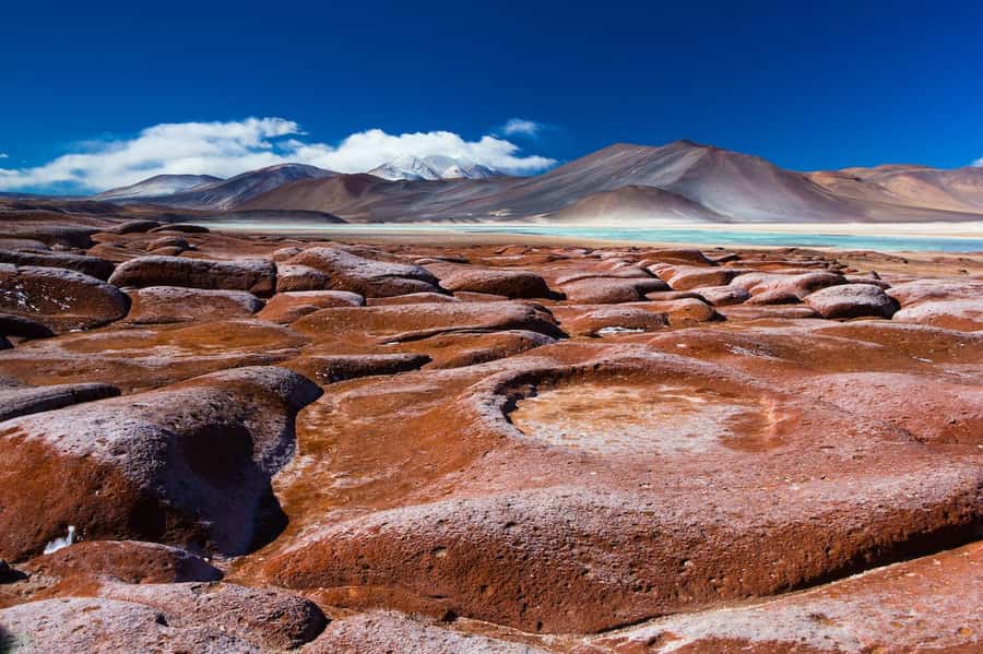 Caracoles: Red Stones of Atacama and Chaxa Guided Day Trip - Chaxa Lagoon and the salt flats