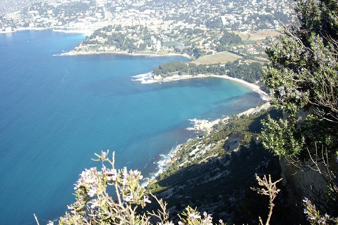 Cassis Half-Day Trip from Aix-en-Provence - The value of the guided format