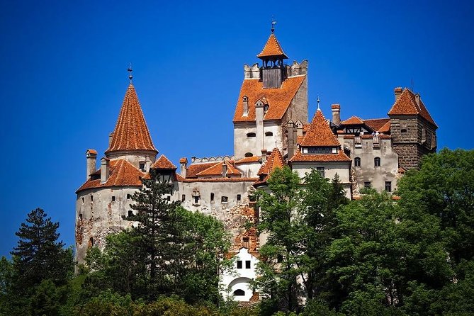 Castles of Transylvania: Private Day Trip from Bucharest - Who should book this day trip?