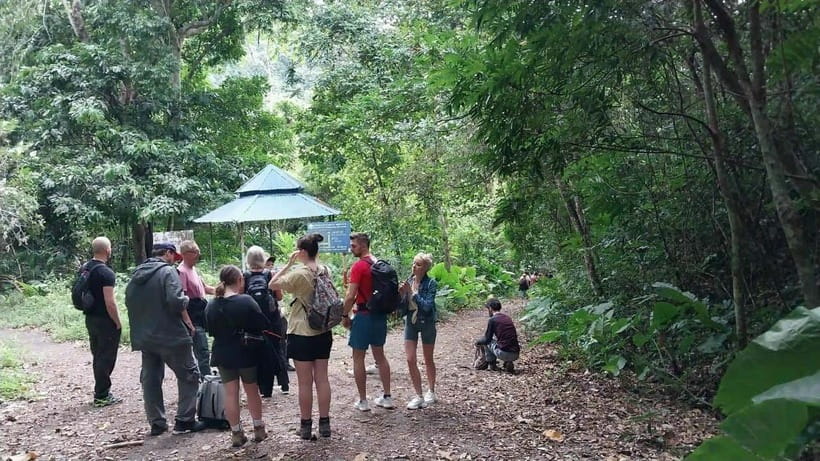 Cat Ba: National Park Day Trip with Cycling and Kayaking - Why this Cat Ba day trip works so well