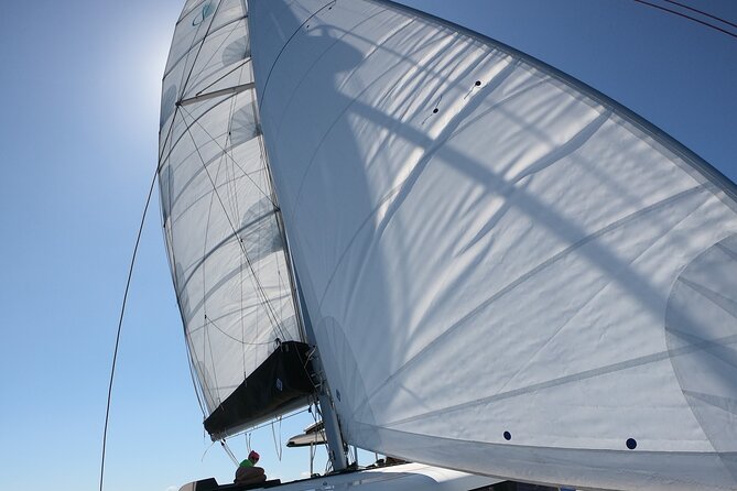 Catamaran Alghero, Catamaran Sailing Day Trip - Is $223.73 good value?