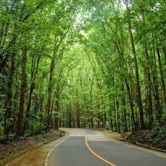 Cebu City: Bohol Countryside Tour with River Cruise Lunch - Guides, vehicles, and the pace of the day