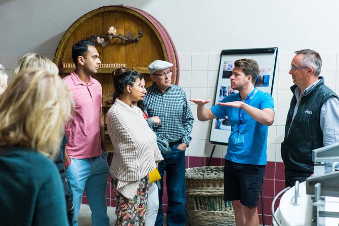 Champagne Day Trip with 6 Tastings, Reims and Winery from Paris - Champagne DOMI and the personal cellar experience