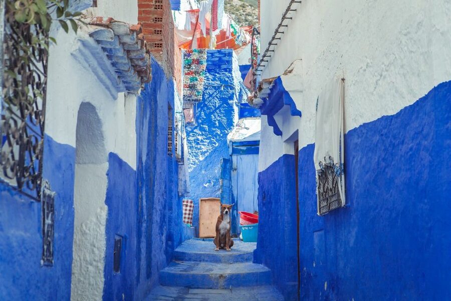 Chefchaouen Day Trip from Fez (Shared Group Tour) - What the driver does, and what the driver does not do