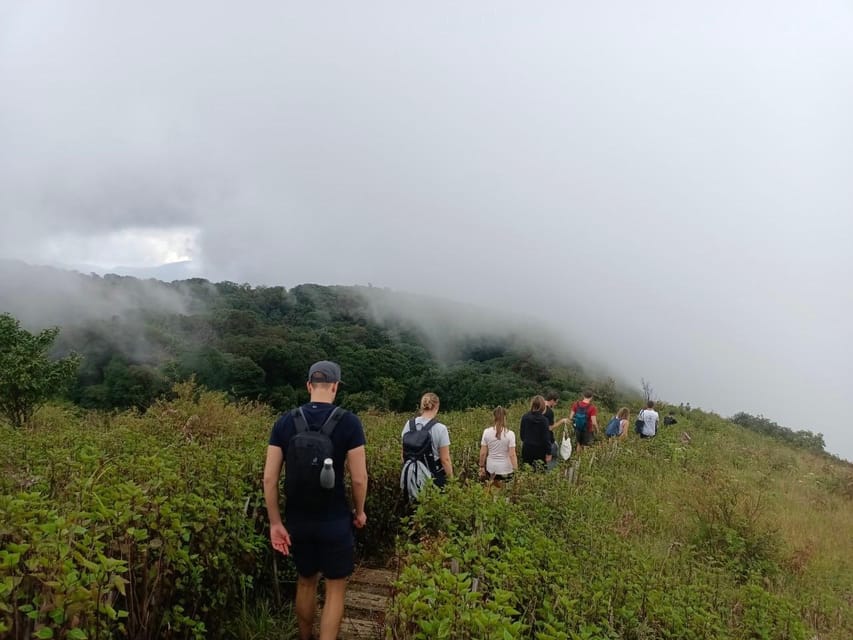 Chiang Mai: Doi Inthanon Park with Kew Mae Pan Hike Day Trip - Coffee, Hmong life, and the market stop