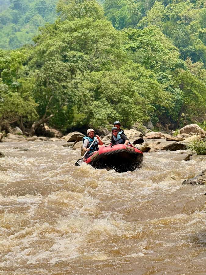 Chiang Mai: Sticky Waterfall and Rafting Day Trip - A quiet bamboo float near the elephants