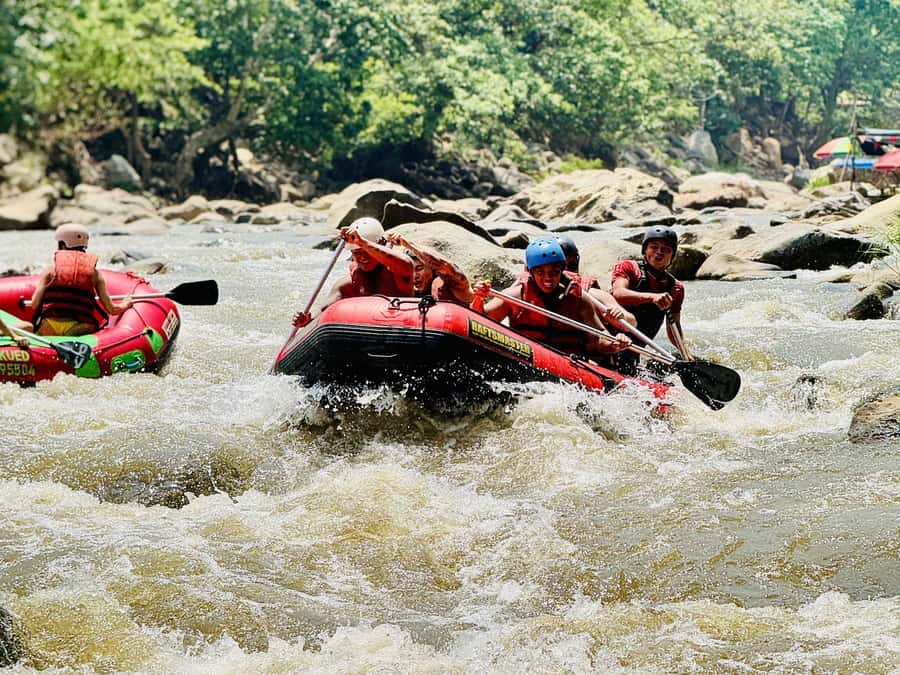Chiang Mai: Sticky Waterfall and Rafting Day Trip - White water on the Mae Taeng River