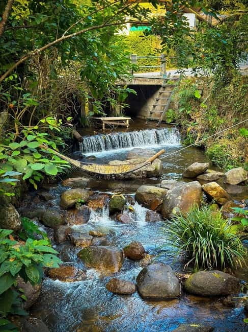 Chiang Mai: The Giant Café & Mae Kampong Village Day Trip - Rabiang View Mae Kampong and the value of a simple café stop