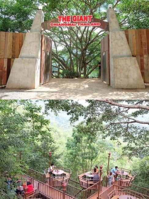 Chiang Mai: The Giant Café & Mae Kampong Village Day Trip - Who will enjoy this Mae Kampong day trip?