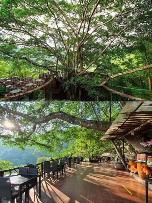 Chiang Mai: The Giant Café & Mae Kampong Village Day Trip - Mae Kampong Waterfall, a cool first taste of the forest