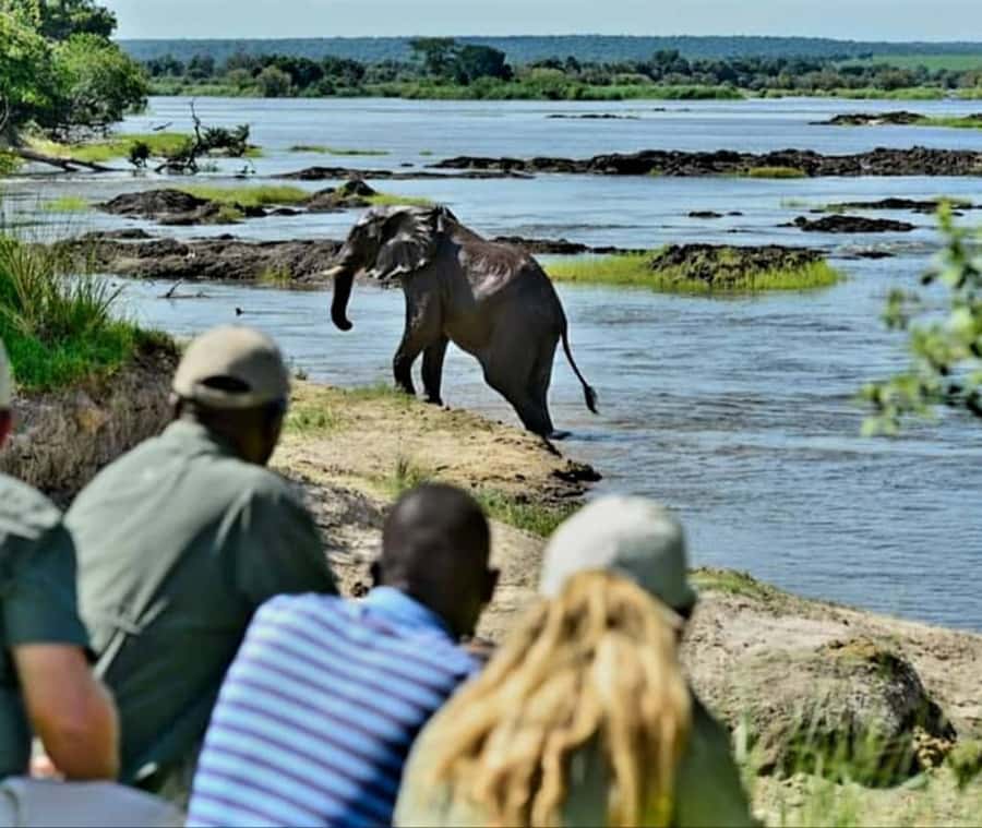 Chobe Day Trip - From Vic Falls - With Lunch (Buffet) - The three-hour Chobe River cruise