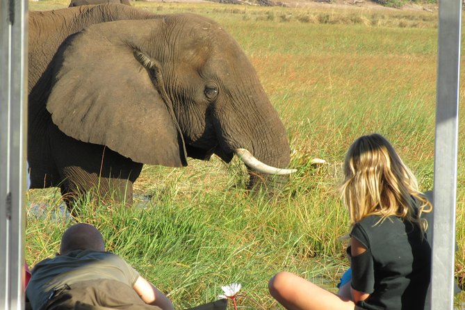Chobe Day Trip from Victoria Falls, Zimbabwe - 1:30 PM: Game drive in Chobe National Park
