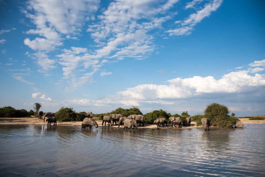 Chobe National Park: Day Trip, Safari drive & River Cruise - FAQ