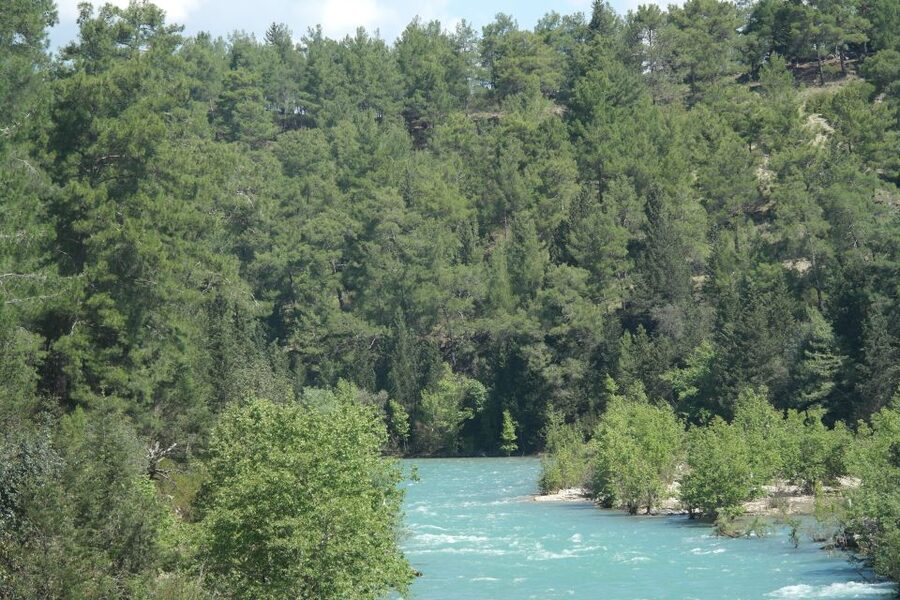 City of Side: Eagle Canyon and Selge Ancient City Day Trip - Walking through Selge in 40 minutes