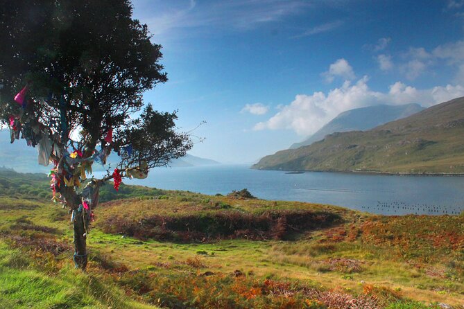 Connemara Day Trip Including Leenane Village and Kylemore Abbey from Galway - Who should book this Connemara tour?