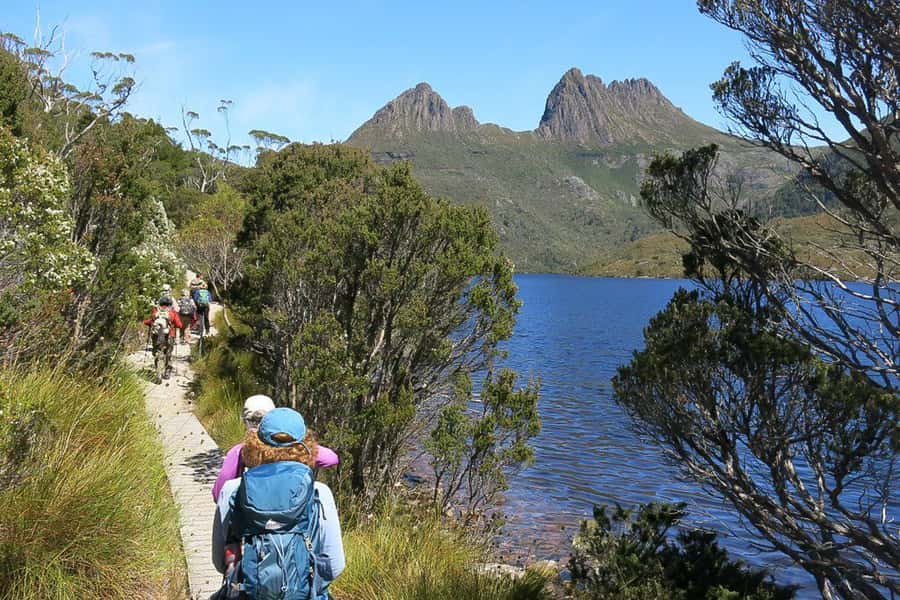Cradle Mountain: Day Trip from Launceston with Lunch - Key points at a glance