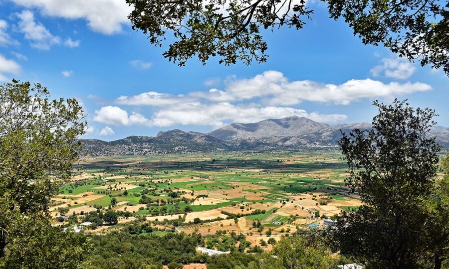Crete: Lasithi Plateau & Knossos Palace Day Trip - Crossing the Lasithi Plateau