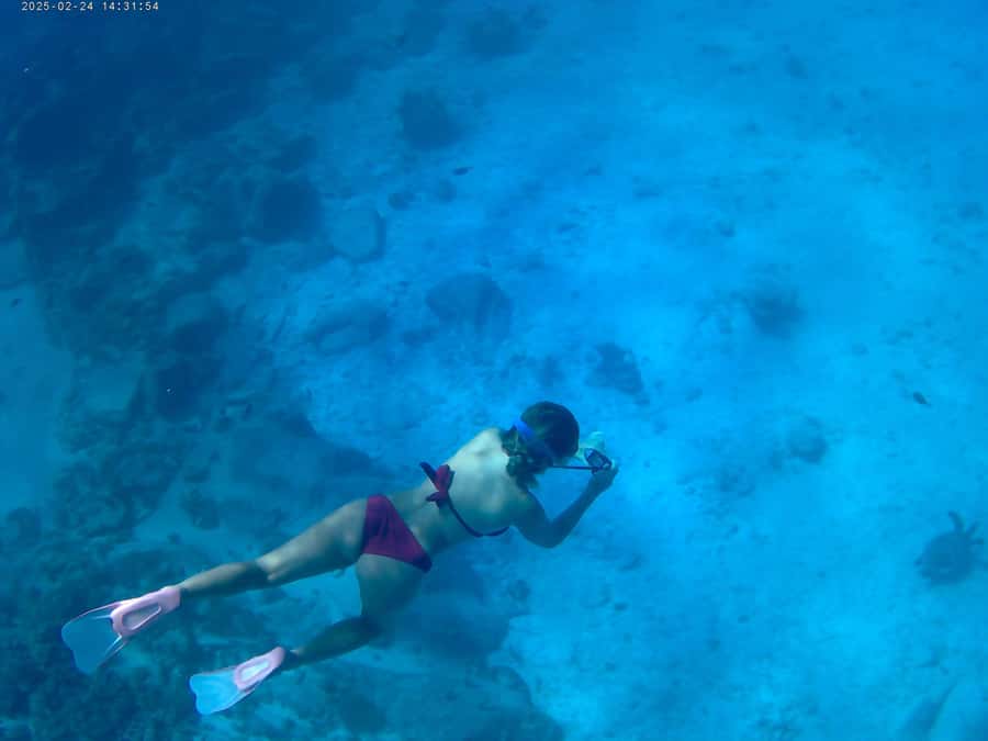 Curieuse and St Pierre Snorkeling Half-Day Trip No BBQ Lunch - Curieuse gives this short trip its character