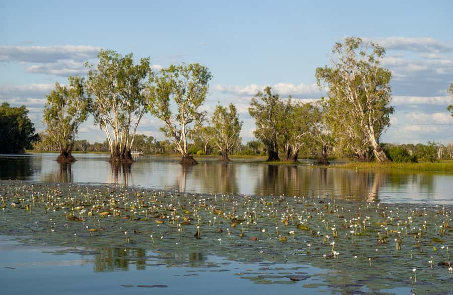 Darwin: Kakadu National Park Day Trip - Key points to know before booking