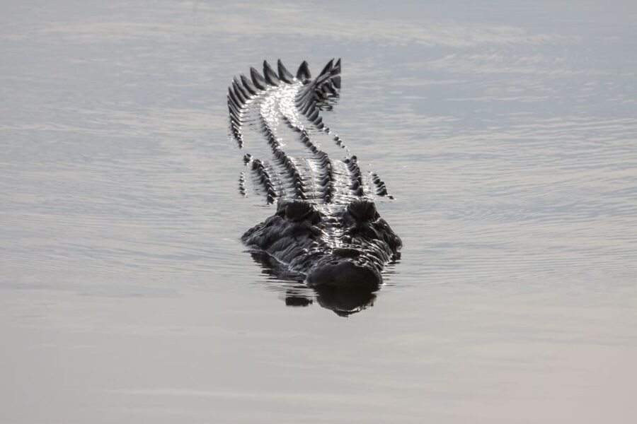 Darwin: Kakadu National Park Day Trip - Who should book this Kakadu day trip?
