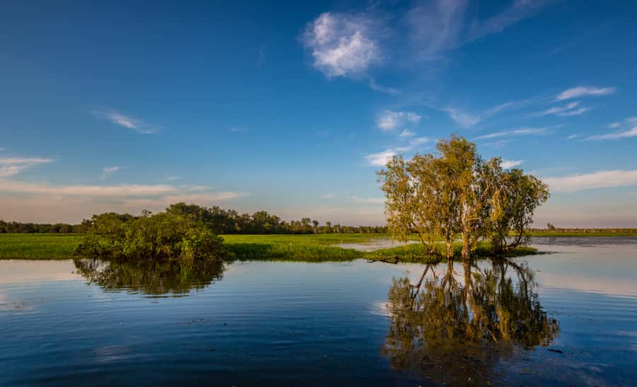 Darwin: Kakadu National Park Day Trip - Lunch at Barra Bar and Bistro