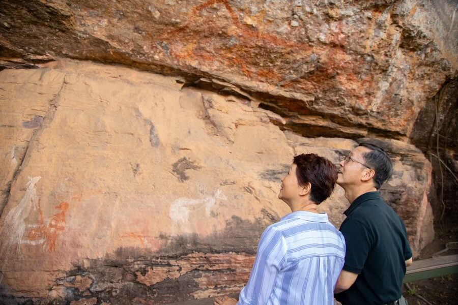 Darwin: Kakadu & Nourlangie Day Trip Plus Billabong Cruise - The optional scenic flight: worth considering?