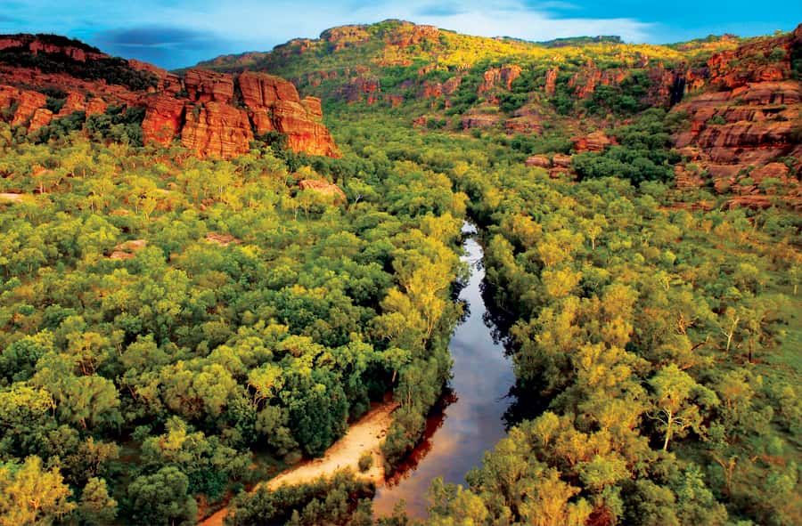 Darwin: Kakadu & Nourlangie Day Trip Plus Billabong Cruise - The early road from Darwin to Kakadu