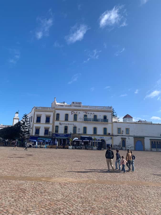 Day Excursion From Marrakech to Essaouira City - The harbor, fishing boats, and fresh fish