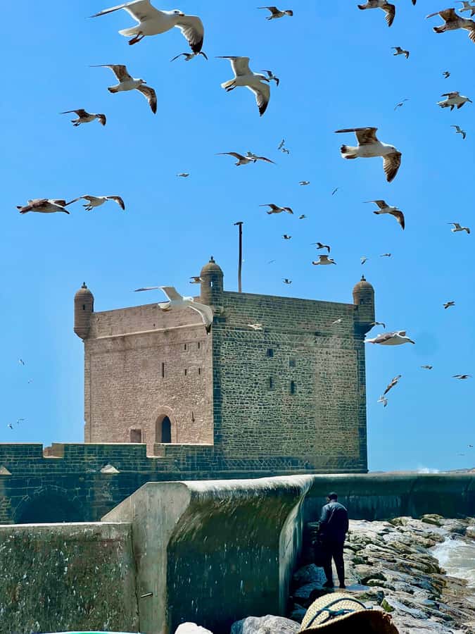 Day Excursion From Marrakech to Essaouira City - Walking the ramparts and finding the beach