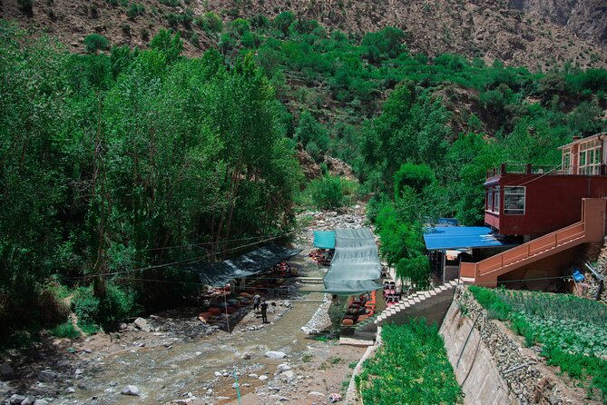 Day trip - Atlas Mountains Ourika Valley Waterfall From Marrakech - Seeing how argan oil is made