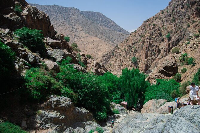 Day trip - Atlas Mountains Ourika Valley Waterfall From Marrakech - Lunch by the river and the cost of the day