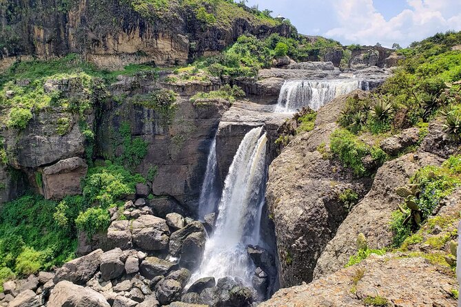 Day Trip From Addis Ababa See Historical Monastery,Stunning Nature,Animals,Birds - Who should book this Addis Ababa excursion